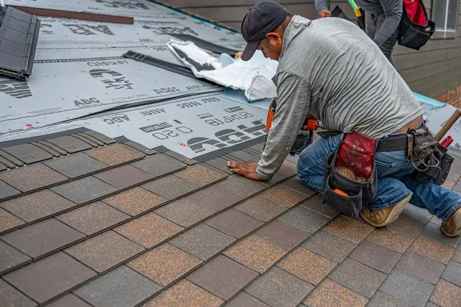 How to maintain asphalt shingle roofing for Sunrise homes